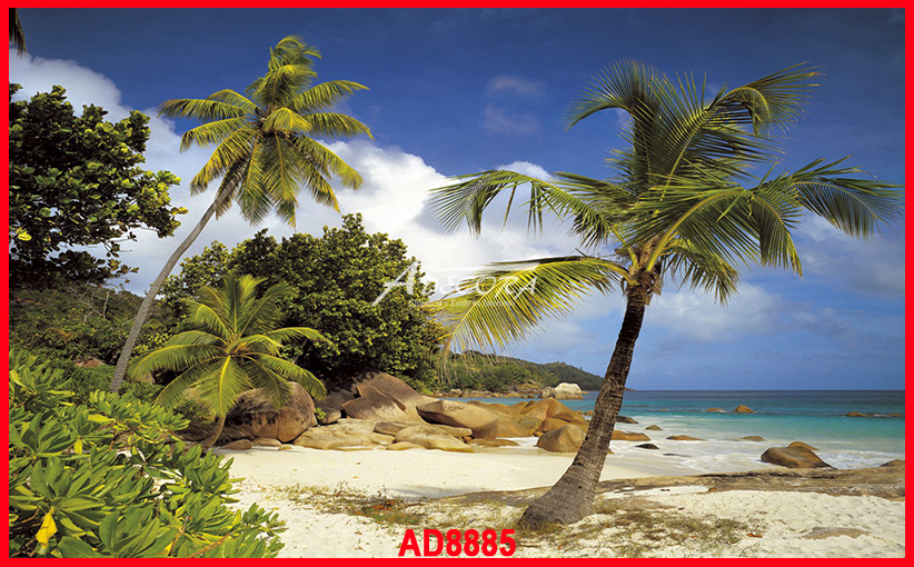 Sonnige, natürliche Steinwand für mediterranes Wohngefühl