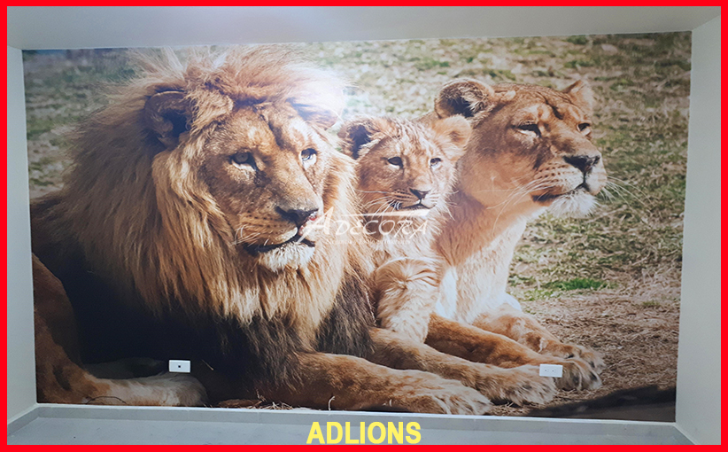 Sonnige, natürliche Steinwand für mediterranes Wohngefühl