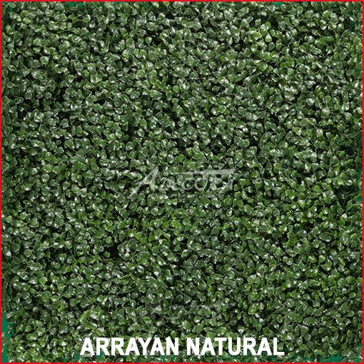 Sonnige, natürliche Steinwand für mediterranes Wohngefühl