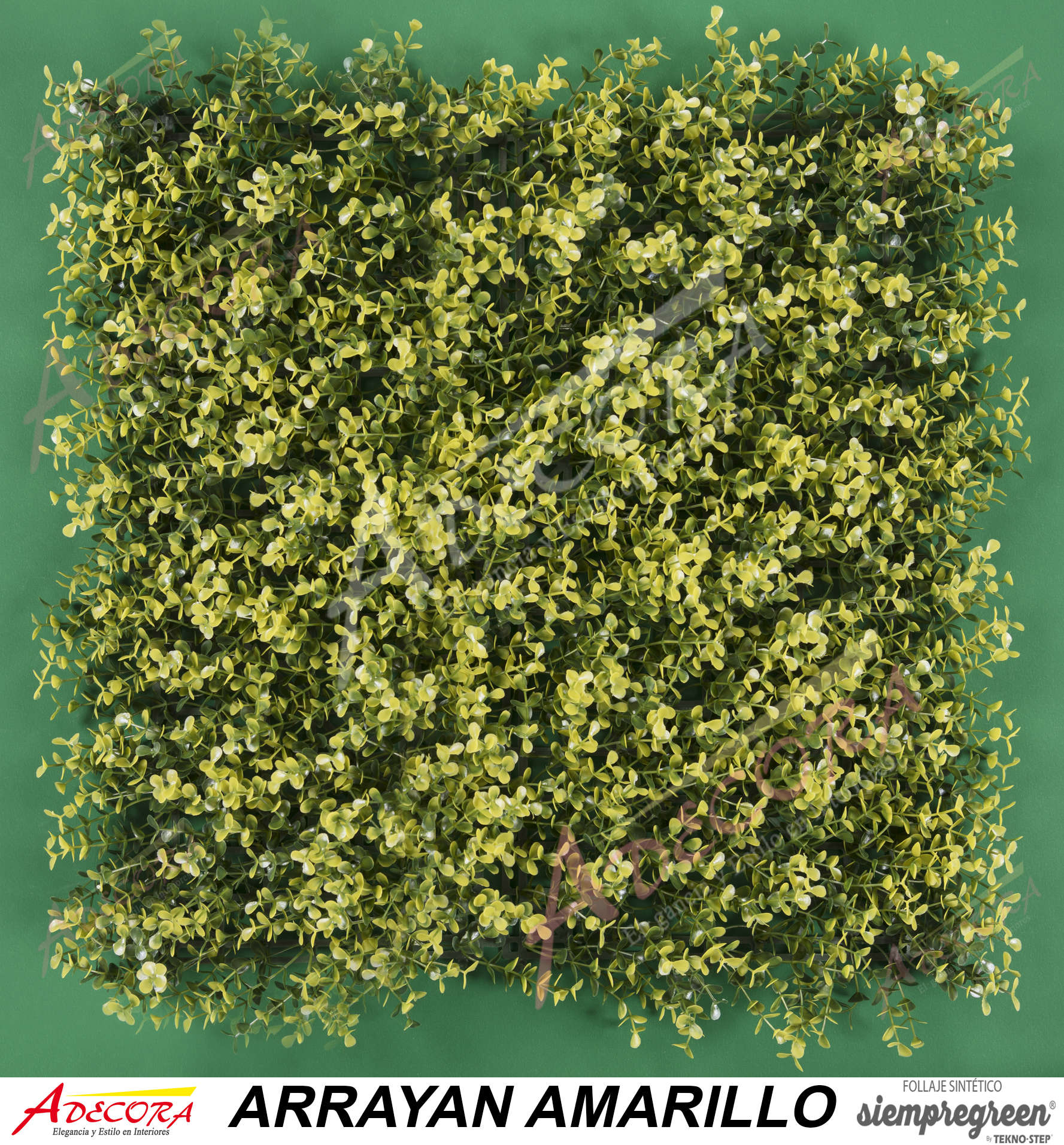 ARRAYAN AMARILLO CODIGO