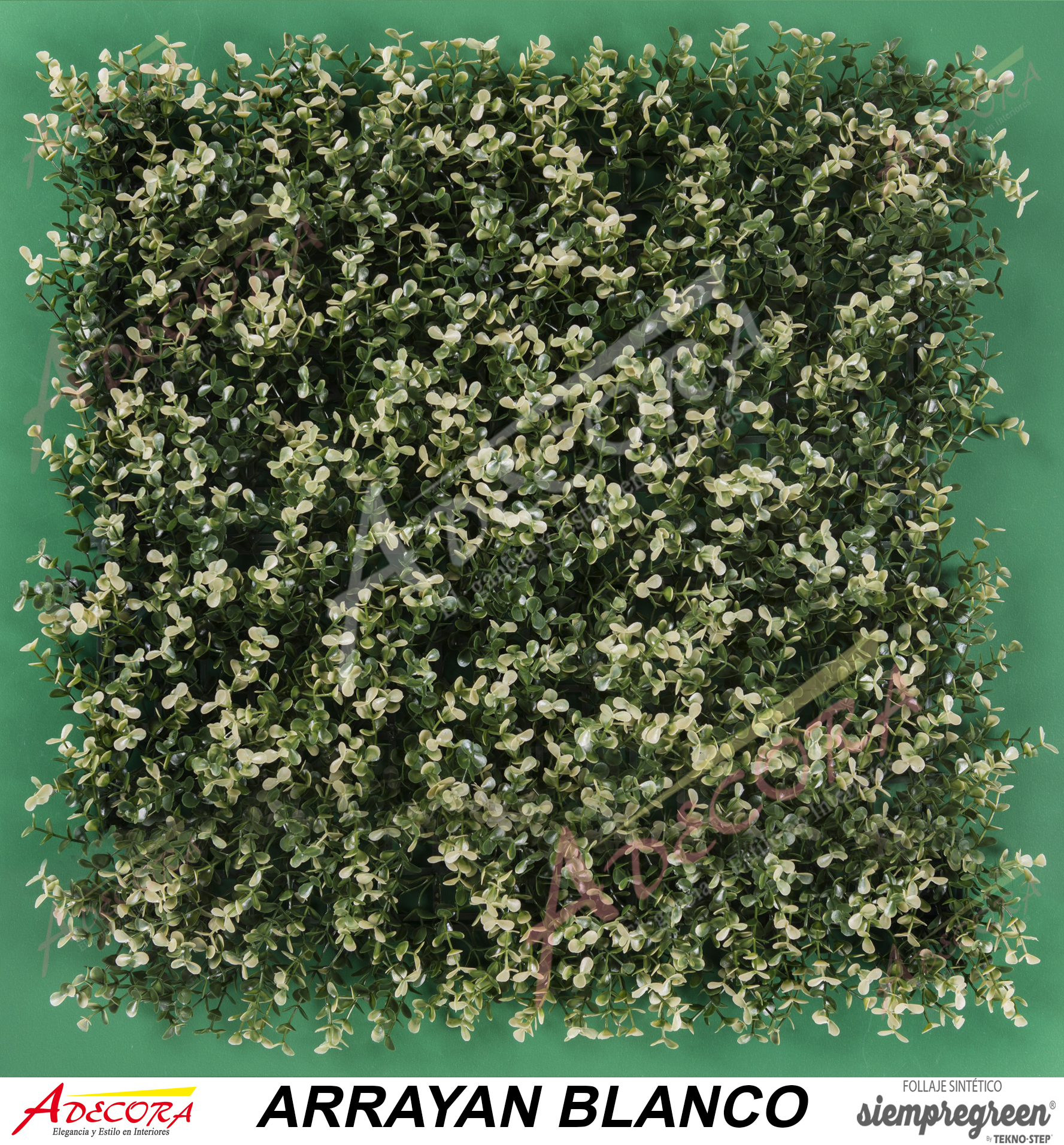 ARRAYAN BLANCO CODIGO