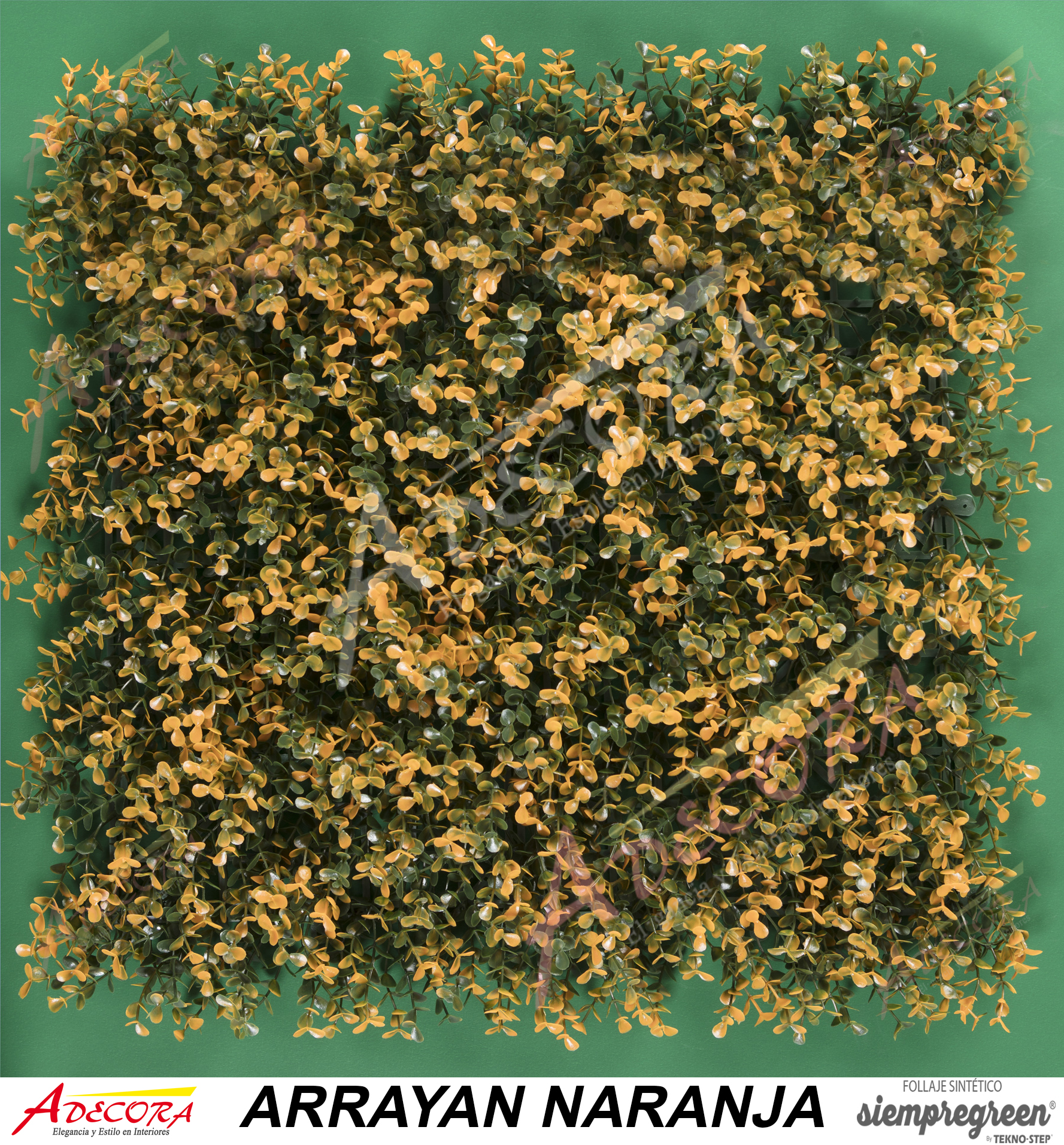 ARRAYAN NARANJA CODIGO