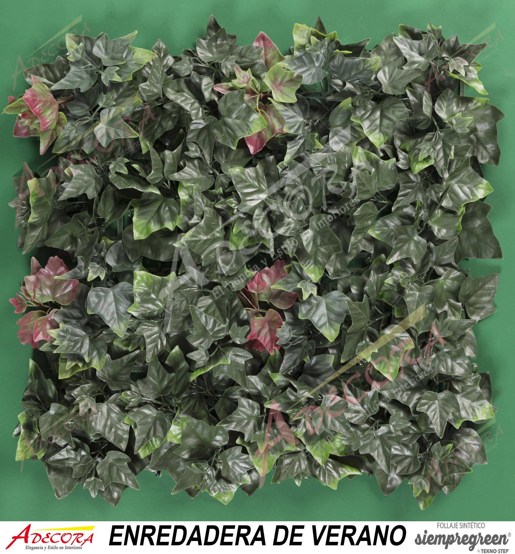 ENREDADERA DE VERANO CODIGO