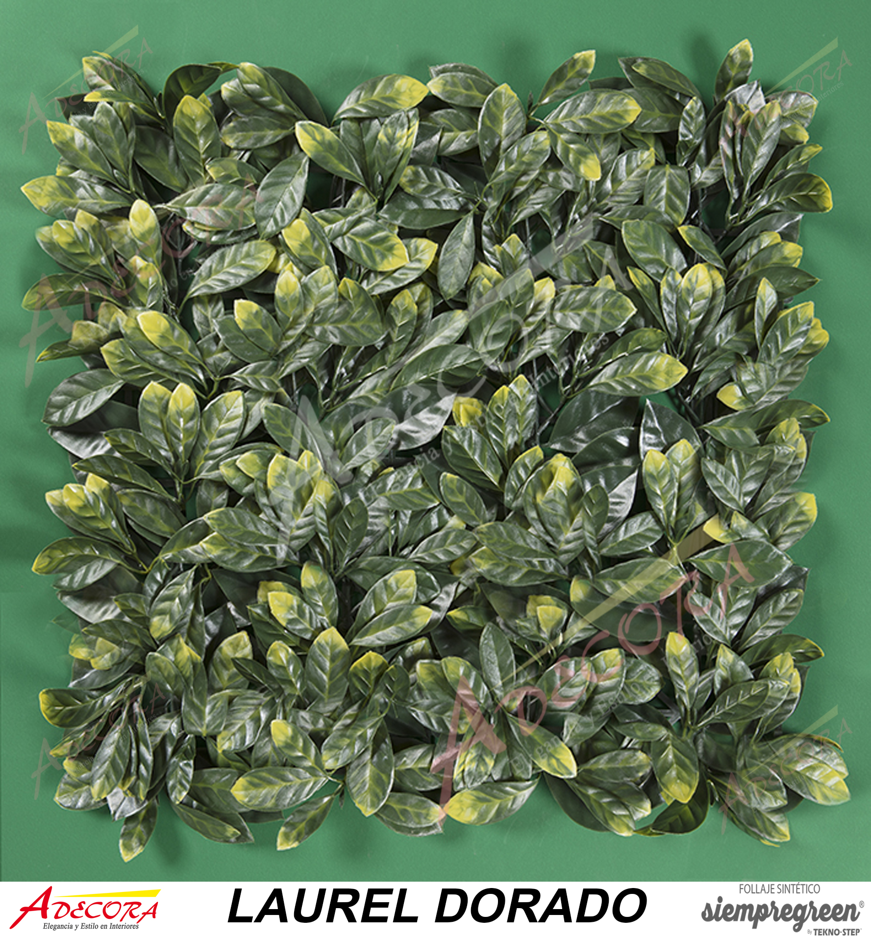 LAUREL DORADO CODIGO