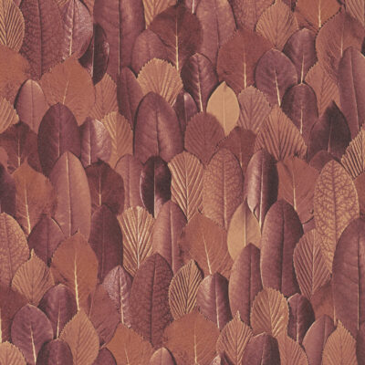 Papel-Tapiz-Scirocco-31734-400x400