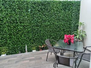 FOLLAJE FLOR DE LIZ UNIFORME SIN DISEÑO EN JARDÍN